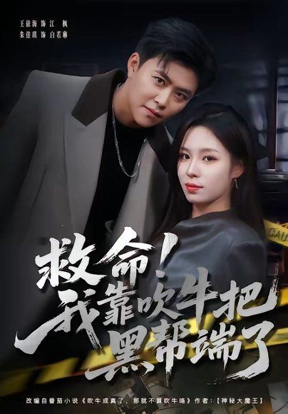 11.救命！我靠吹牛把黑帮端了（79集）朱佳琪＆王依海