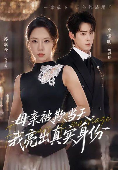 11.母亲被欺当天，我亮出真实身份（63集）苏嘉欣＆李佳明