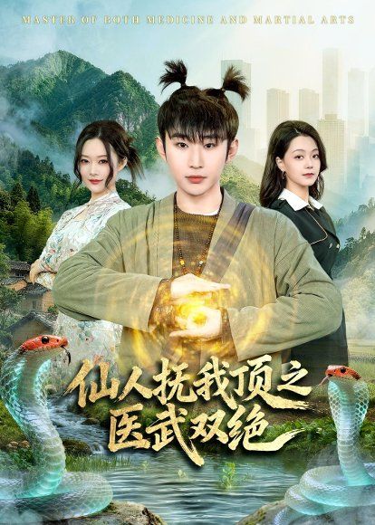 12.仙人抚我顶之医武双绝（66集）范经明＆李佑金