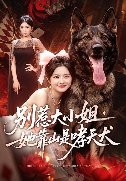 12.别惹大小姐，她靠山是哮天犬（86集）常珂欣＆刘继泽
