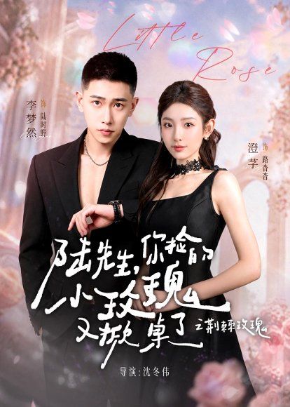 12.太子爷的小玫瑰又掀桌了＆陆先生，你捡的小玫瑰又掀桌了之荆棘玫瑰（68集）李梦然＆澄芓