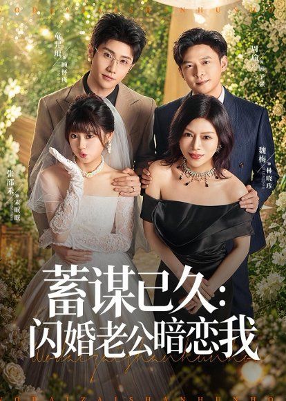 12.蓄谋已久：闪婚老公暗恋我＆我带崽闪婚后怎么老妈也（77集）童羿琅＆张邵禾