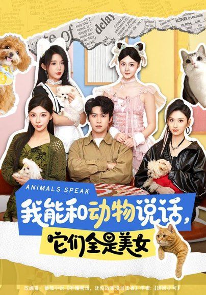 13.我能和动物说话，它们全是美女（81集）天天＆张茜雯（1080P）