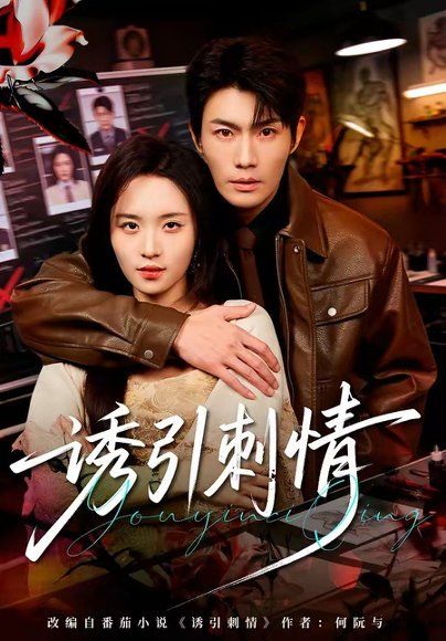 13.诱引刺情（60集）张培宝＆郑洋