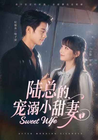 13.陆总的宠溺小甜妻（61集）纪俊良＆吕丹妮
