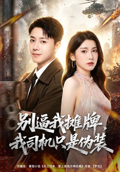 14.别逼我摊牌，我司机只是伪装（80集）汪克强＆田诗园＆李继军＆卢晟（1080P）