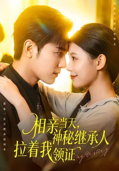 14.相亲当天，神秘继承人拉着我领证（100集）周航＆李丫丫