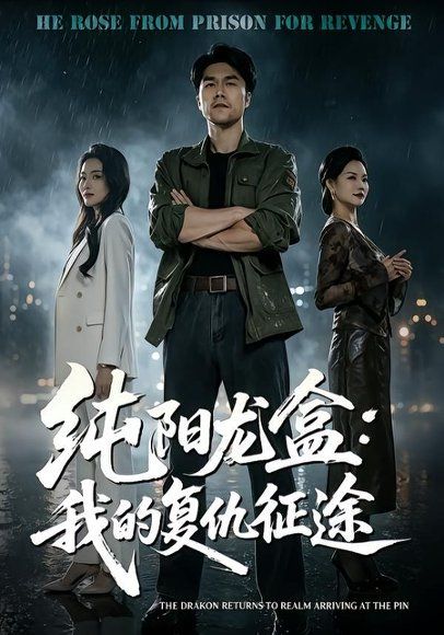 15.纯阳龙盒：我的复仇征途（80集）师彬＆吕洁
