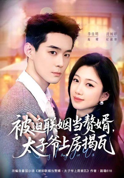 15.被迫联姻当赘婿，太子爷上房揭瓦（80集）沈婉婷＆李佳明
