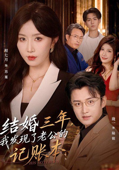 15.结婚三年，我发现了老公的记账本（73集）程七月＆珑一