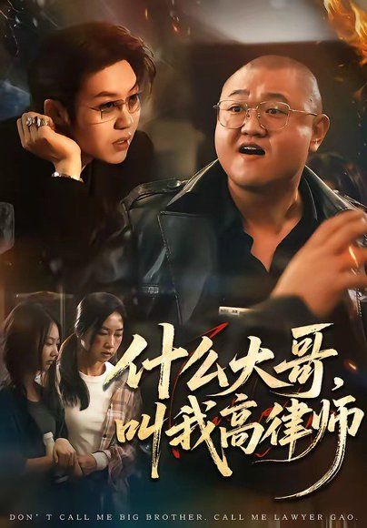16.什么大哥，叫我高律师（65集）高峰＆胡柯