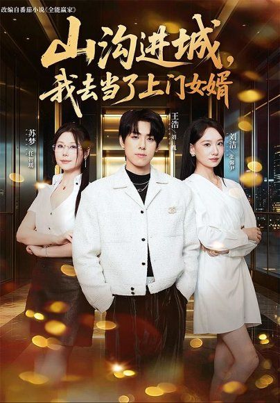 16.山沟进城，我去当了上门女婿（80集）刘胤＆张馨尹