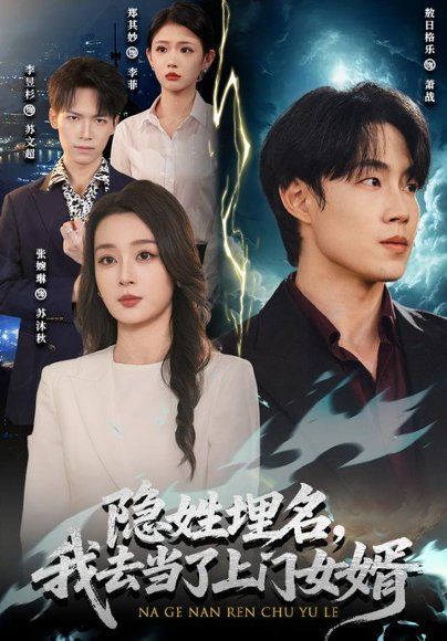 16.隐姓埋名，我去当了上门女婿（80集）敖日格乐＆张婉琳（1080P）