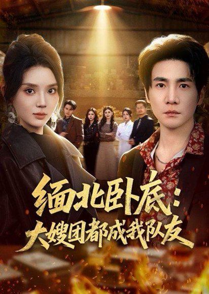 17.缅北卧底：大嫂团都成我队友（71集）李想＆文静