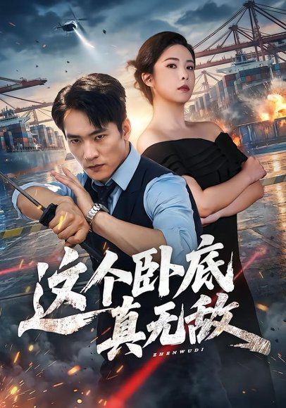 17.这个卧底真无敌（63集）朱新辉＆阳蕾