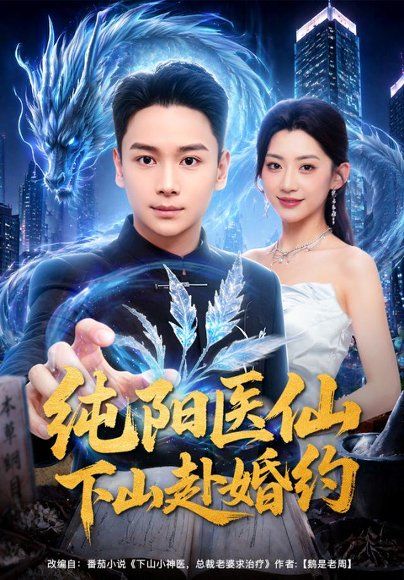 18.纯阳医仙下山赴婚约（80集）范高坡＆王冰星
