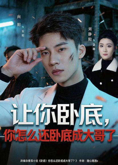 19.让你卧底，你怎么还卧成大哥了（80集）向阳公主＆刘静阳