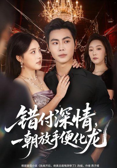 19.错付深情，一朝放手便化龙（77集）肖智夫＆张秋怡