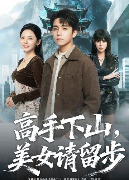 19.高手下山，mei女请留步（80集）金大钟＆李图图