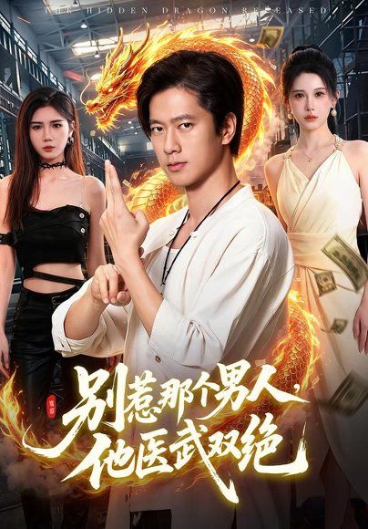 20.别惹那个男人，他医武双绝（109集）张子安＆江路祺＆邹漪琳（1080P）