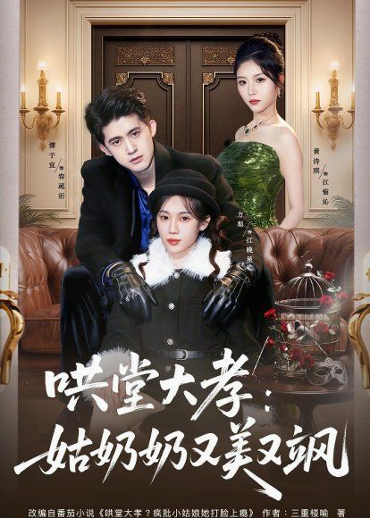 20.哄堂大孝：姑奶奶又美又飒（60集）方梨＆谭子宣＆史小强