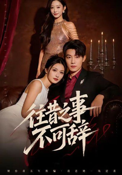 20.往昔之事不可辞（50集）李少聪&辛宁