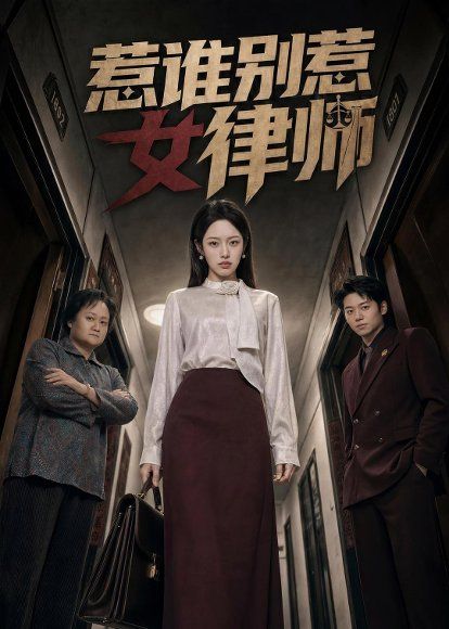 20.惹谁别惹女律师（61集）胡继月＆刘广平