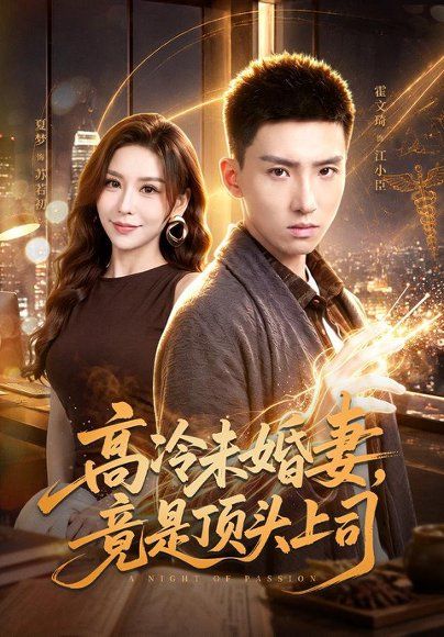 20.高冷未婚妻，竟是顶头上司（80集）霍文琦＆夏梦（1080P）