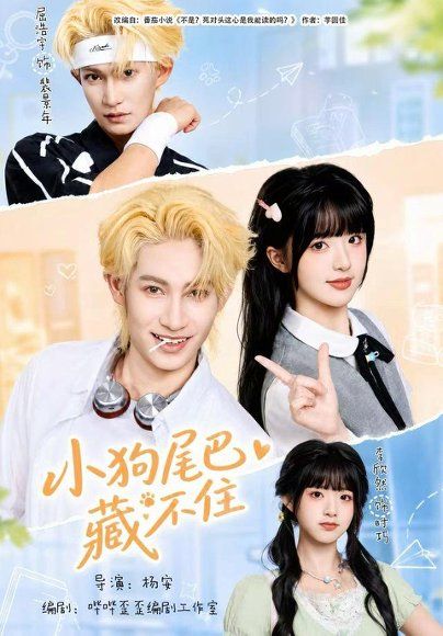 21.小狗尾巴藏不住（40集）李欣然＆屈浩宇