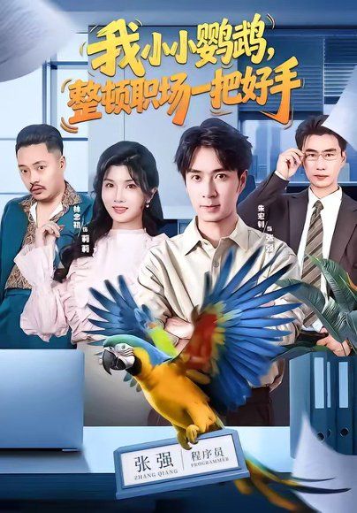 21.我小小鹦鹉，整顿职场一把好手（62集）朱宏钊＆林念初＆周伟＆负辰鑫