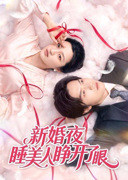 21.新婚夜睡美人睁开了眼（50集）刘涵&李玉豪&廖文根