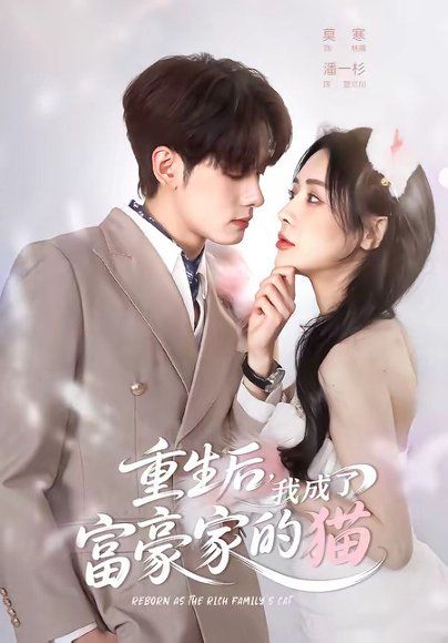21.重生后，我成了富豪家的猫（62集）潘一杉＆莫寒