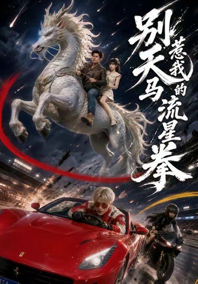 22.别惹我的天马流星拳（40集）子扬＆陈舒婕