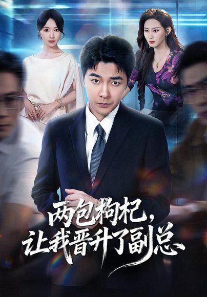 23.两包枸杞，让我晋升了副总（65集）董星辰＆芊亿＆孙兵＆逸枫（1080P）