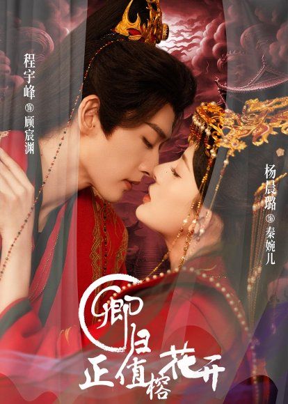 23.卿归正值榕花开（70集）程宇峰＆杨晨璐