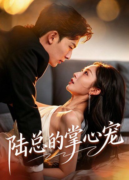 25.陆总的掌心宠（85集）宋佳音＆朱永强