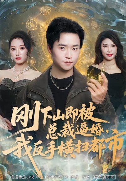 26.刚下山即被总裁逼婚，我反手横扫都市（70集）王晨辉＆李雪曼