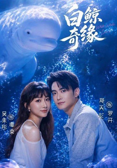 27(1).白鲸奇缘（52集）吴茉彤＆郑天龙＆王志豪＆刘倩宇＆梅先锋（1080P）