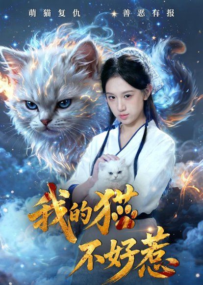27.我的猫不好惹（42集）陈鸿运＆江来
