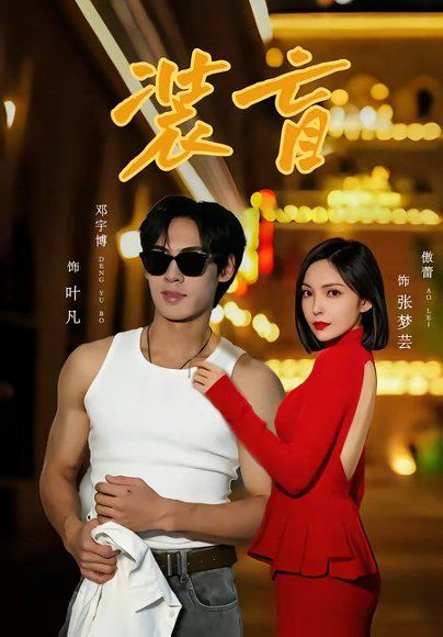 27.装盲（80集）邓宇博＆傲蕾