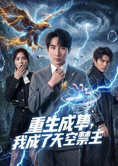 27.重生成隼，我成了天空禁主（68集）刘飞＆思雨