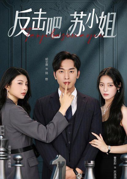 29.反击吧！苏小姐（63集）曹若彤＆胡文森