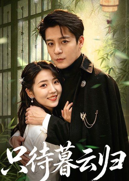 29.只待暮云归（70集）李海蒂＆丁敬一