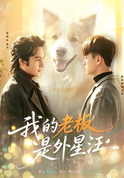 29.我的老板是外星汪（55集）宋恺＆李奇诺