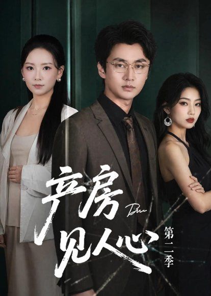 30.产房见人心第二季（75集）任燕＆珑一