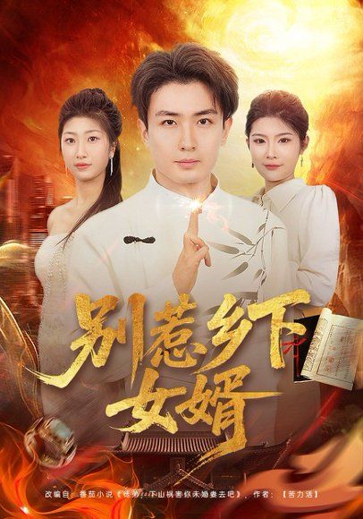30.别惹乡下女婿（80集）周泽壤&韩宇婷