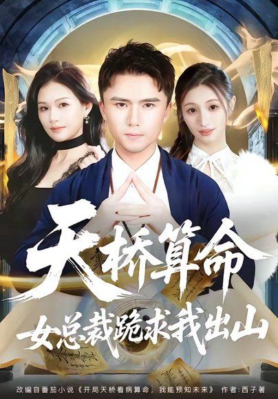 30.天桥算命女总裁跪求我出山（81集）赵志盟＆张颖洁