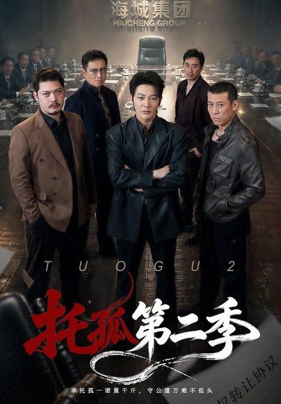 31.托孤第二季（70集）谢海青&邢杰