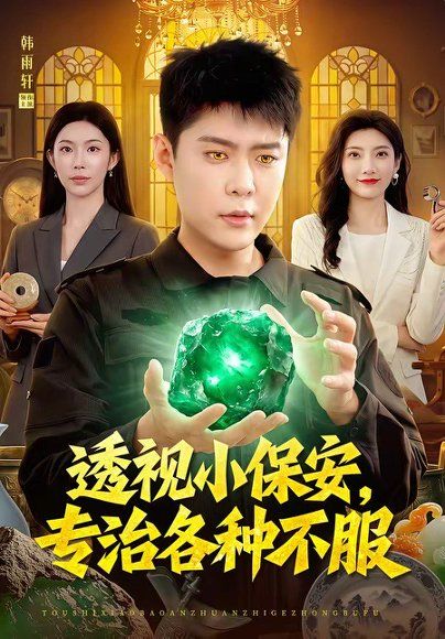 33(1).透视小保安，专治各种不服（95集）韩雨轩＆杨林涛