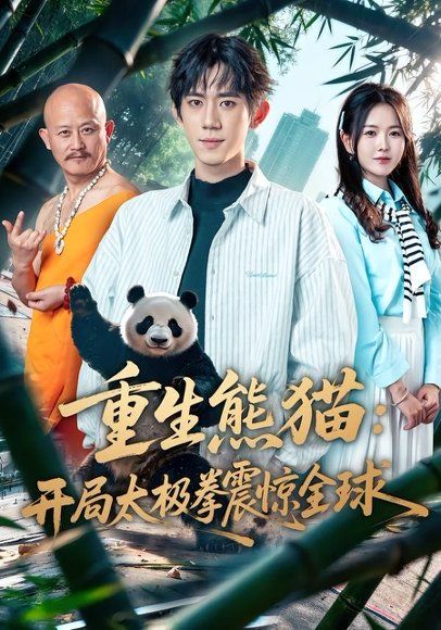 34.重生熊猫：开局太极拳震惊全球（70集）弭秉辰＆霍豆豆